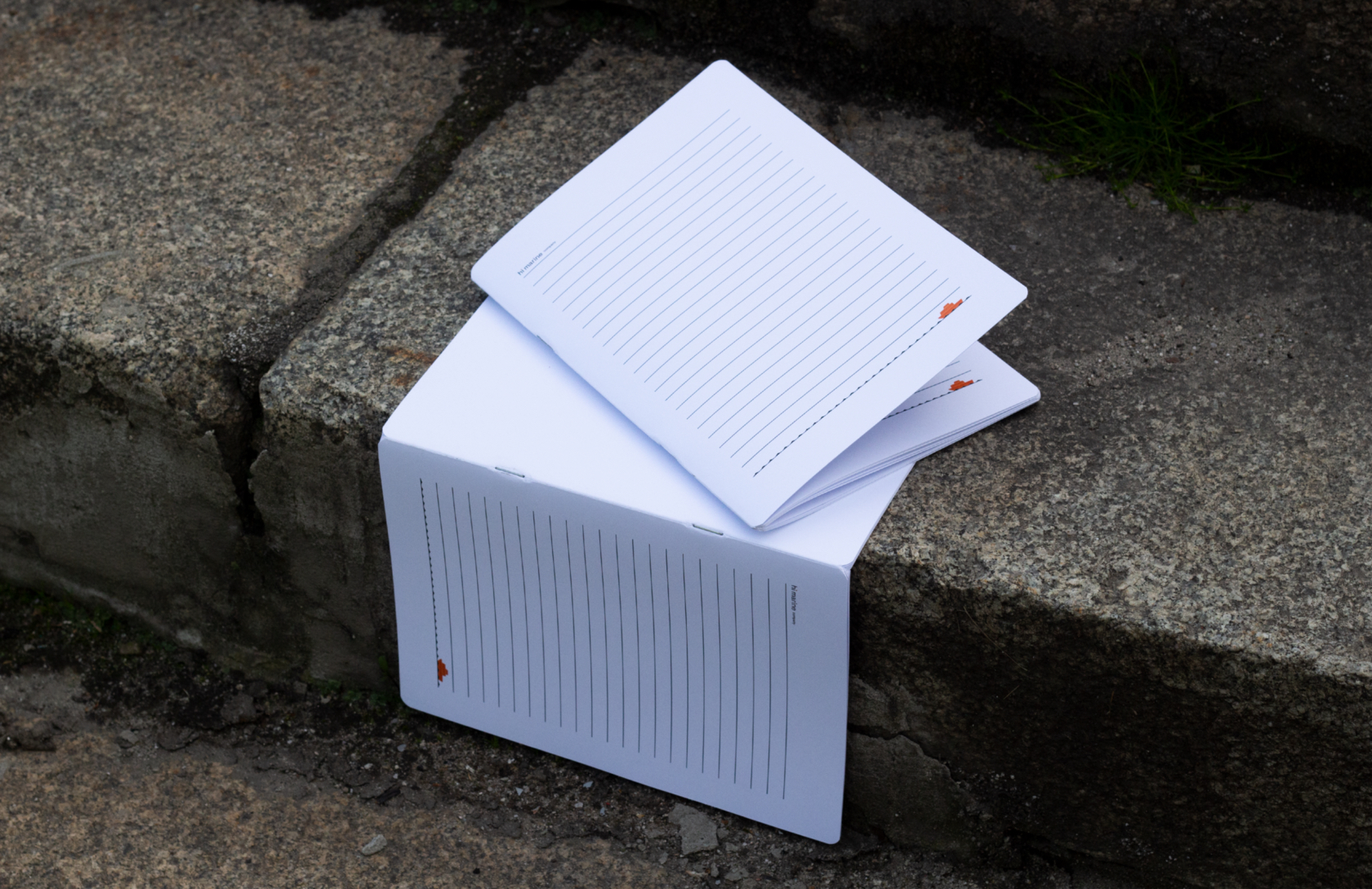 Hi Marine Company Optimistic branding for a friendly ship supply service