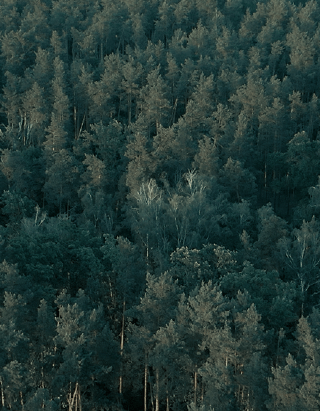 s o l a Techno-Zen by Once — a website for S o l a